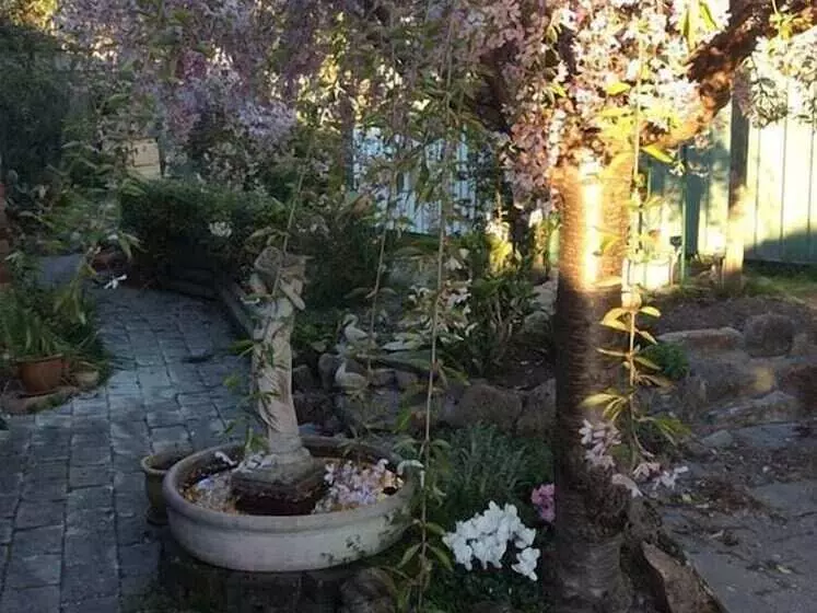 פנסיון Beechworth Gorge Walk Guest House