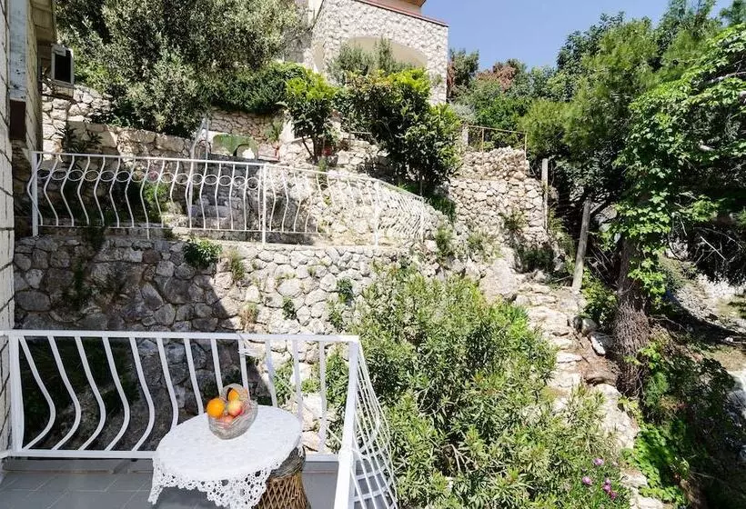 بنسيون Guest House Daniela