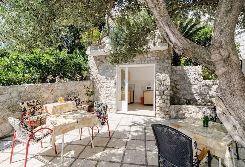 بنسيون Guest House Daniela