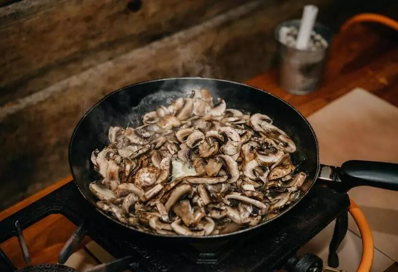 بنسيون The Village Lodge