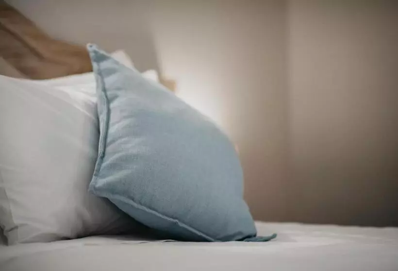 بنسيون The Village Lodge