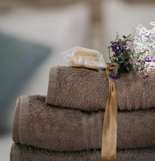 بنسيون The Village Lodge