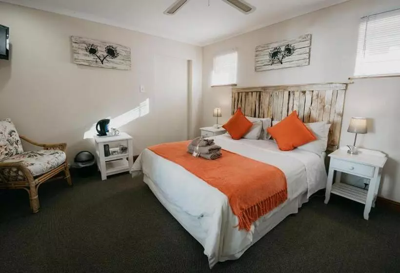 بنسيون The Village Lodge