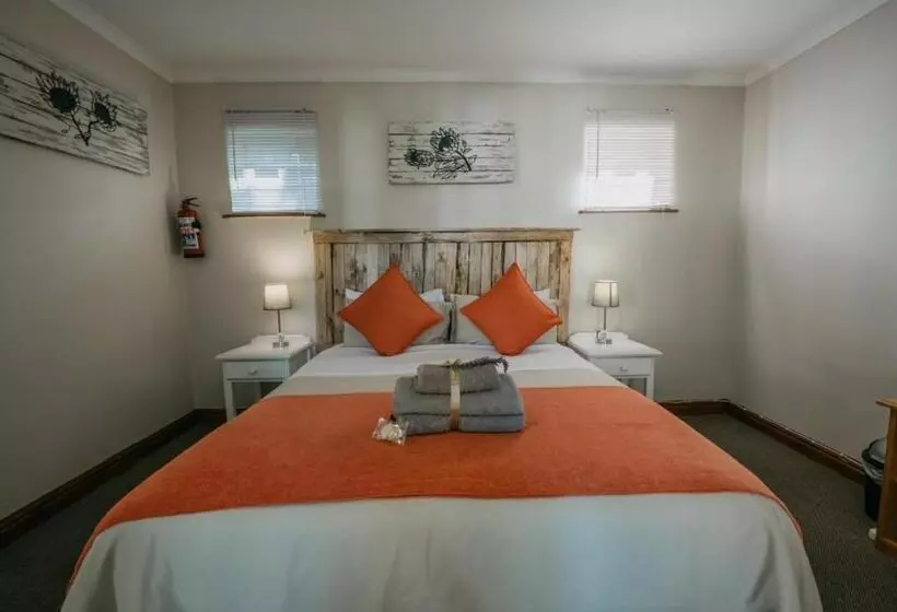 بنسيون The Village Lodge