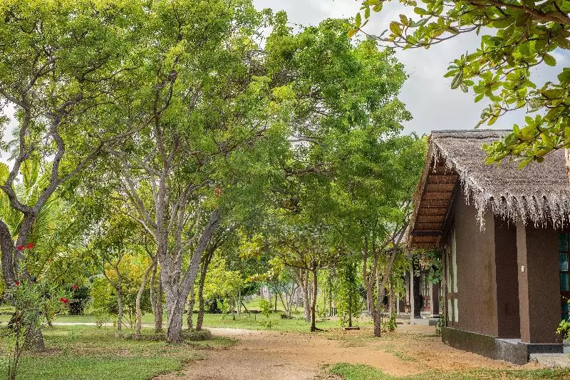 ホテル Club Mango Eco Resort