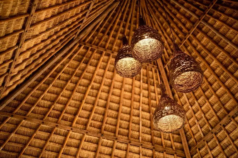 ホテル Club Mango Eco Resort