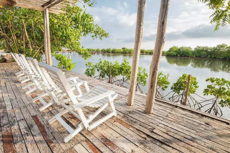 ホテル Club Mango Eco Resort