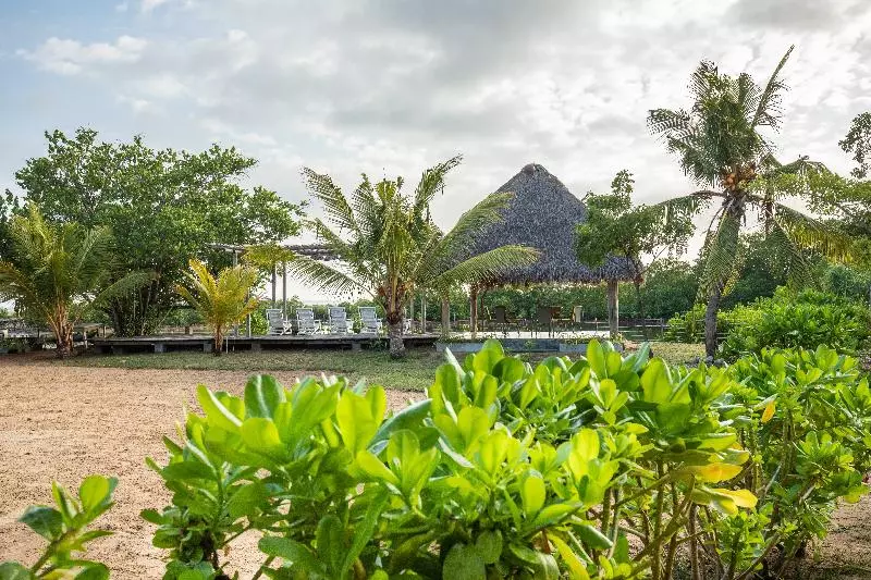 ホテル Club Mango Eco Resort