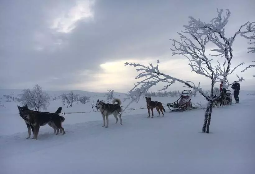 הוסטל Amber Lodge Mt Buller