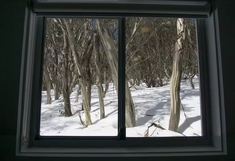 הוסטל Amber Lodge Mt Buller