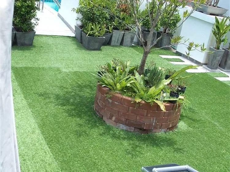 호텔 Capannina Inn