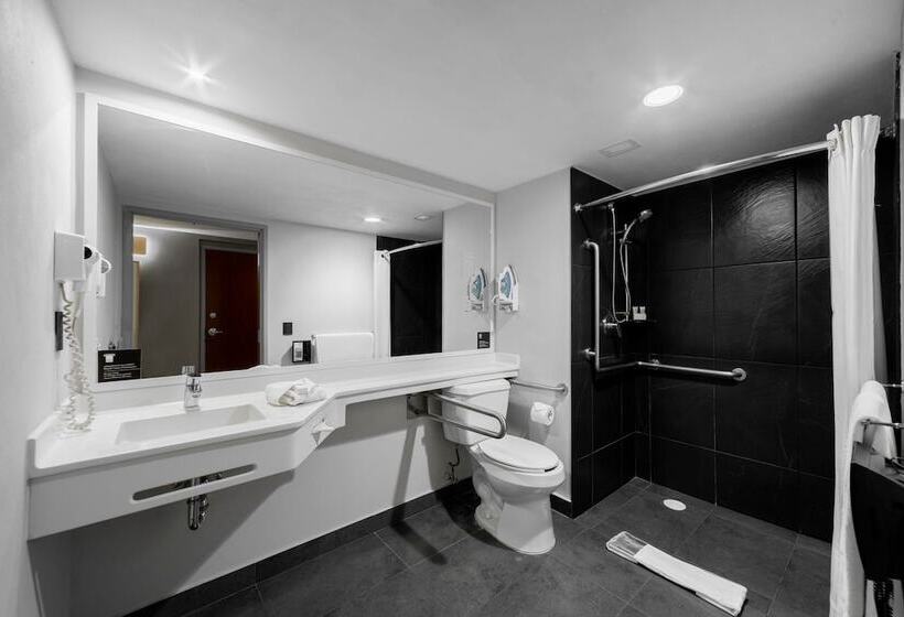 فندق City Express Plus By Marriott Guadalajara Palomar