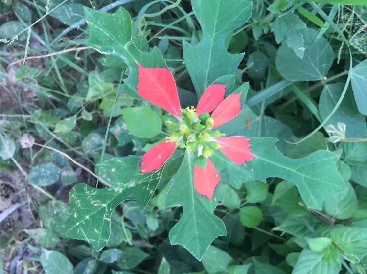 Отель Hana Lanta Resort