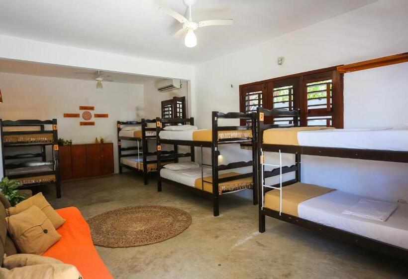 בית מלון כפרי Mandala Hostel Jeri