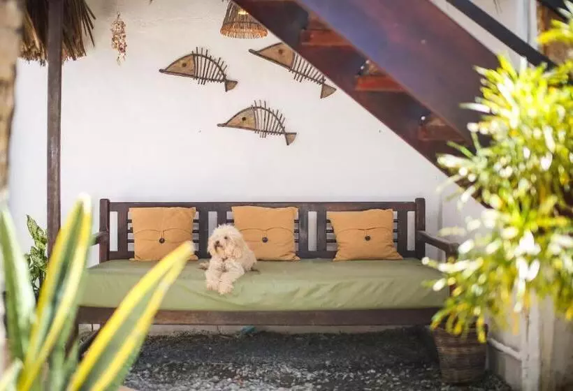 בית מלון כפרי Mandala Hostel Jeri