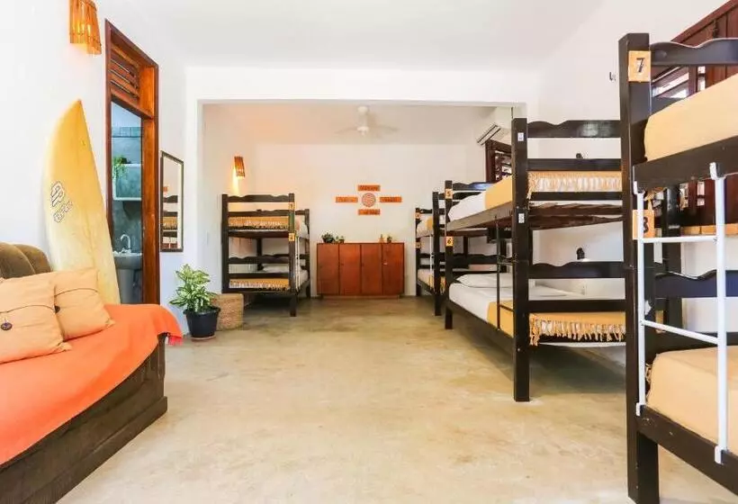 בית מלון כפרי Mandala Hostel Jeri