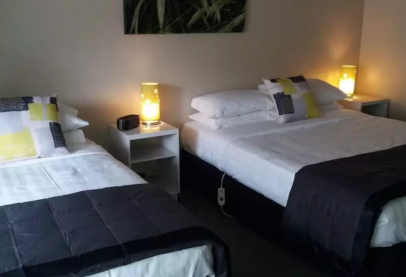 فندق على الطريق Settlers Motor Lodge