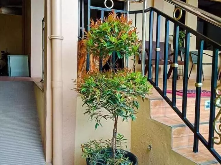 Pensiune Dayview Tourist Home