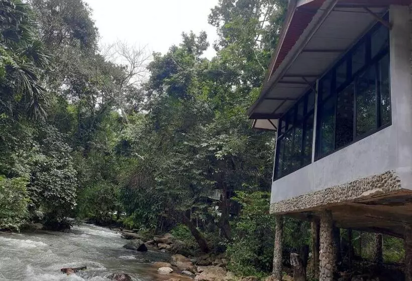 膳宿费 Tree Tops River Huts