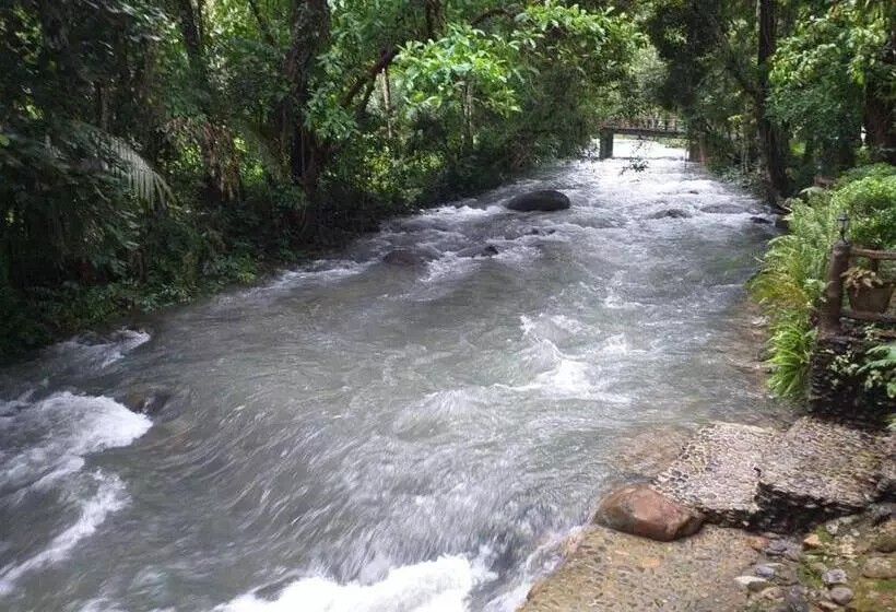 膳宿费 Tree Tops River Huts