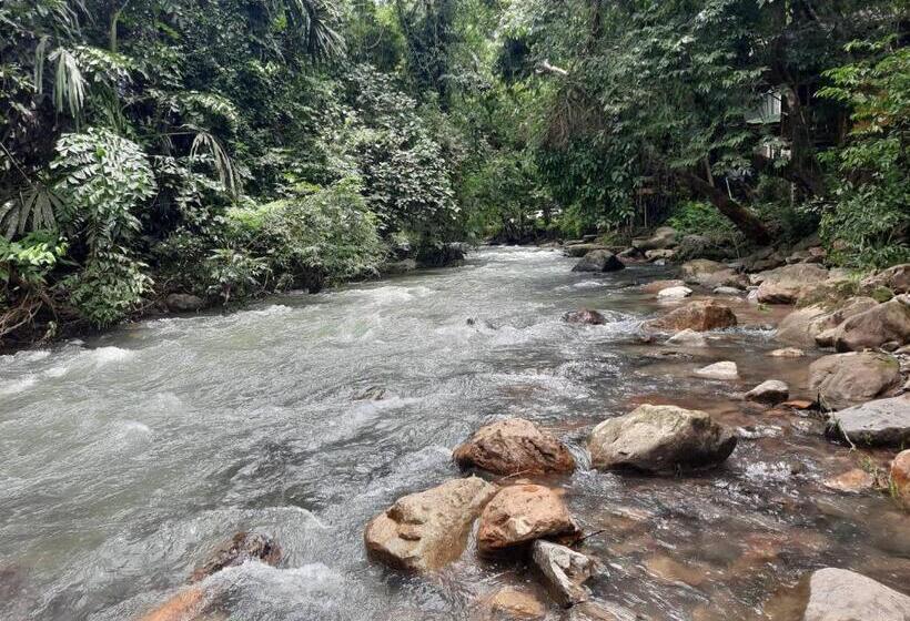 Пансион Tree Tops River Huts