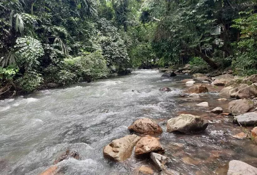 膳宿费 Tree Tops River Huts