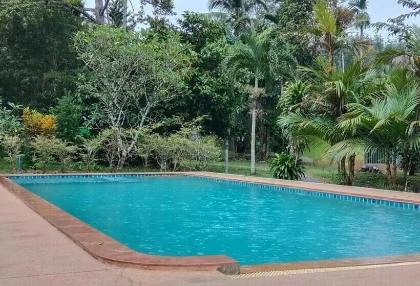 膳宿费 Tree Tops River Huts