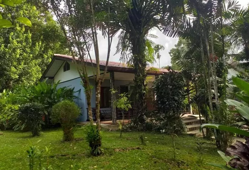 膳宿费 Tree Tops River Huts