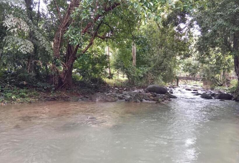 Пансион Tree Tops River Huts