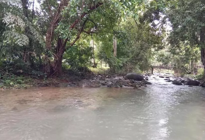 膳宿费 Tree Tops River Huts