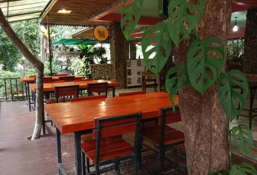 膳宿费 Tree Tops River Huts