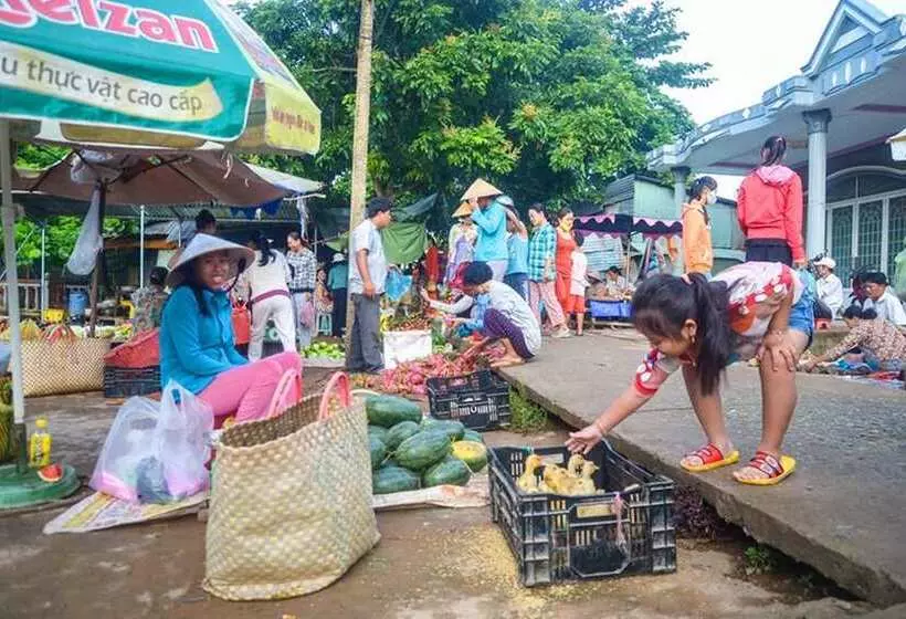 استراحتگاه The Island Lodge