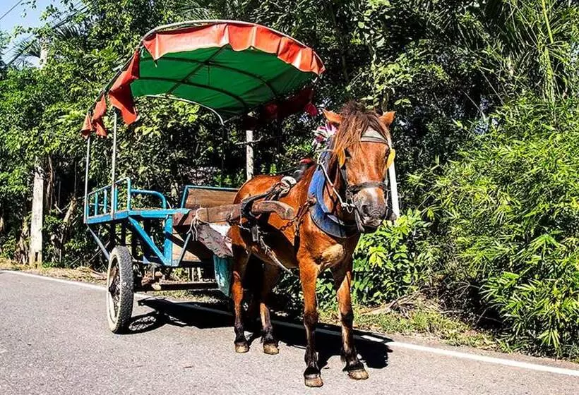 استراحتگاه The Island Lodge