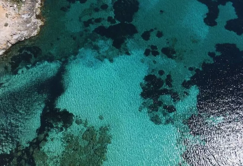 Son Caliu Apartamentos