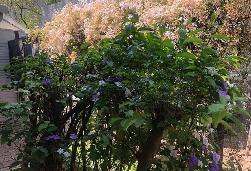 The Haystack On Homestead