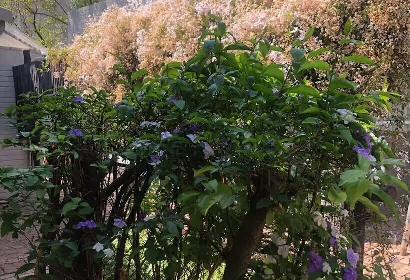 The Haystack On Homestead