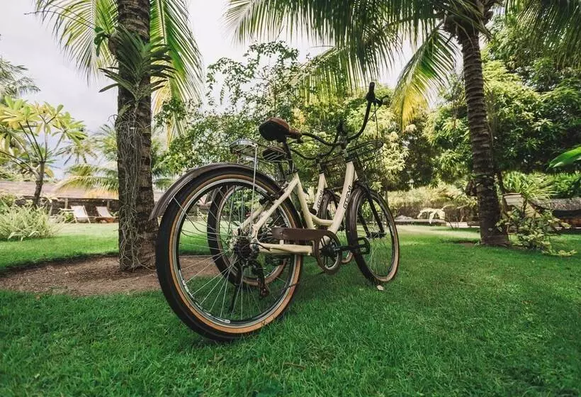 Hotelli Ocacocar Milagres