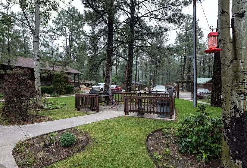 ホテル Shadow Mountain Lodge And Cabins