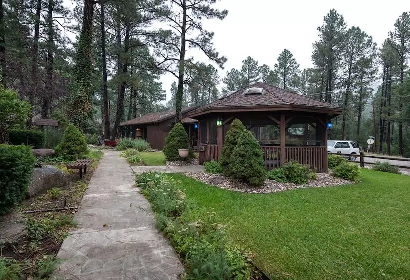 ホテル Shadow Mountain Lodge And Cabins