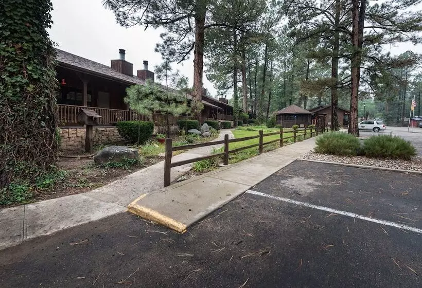 ホテル Shadow Mountain Lodge And Cabins