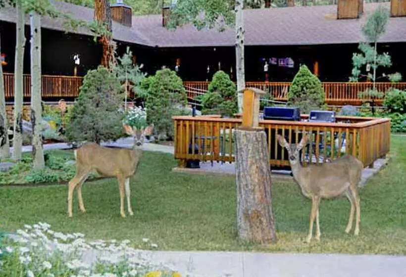 ホテル Shadow Mountain Lodge And Cabins