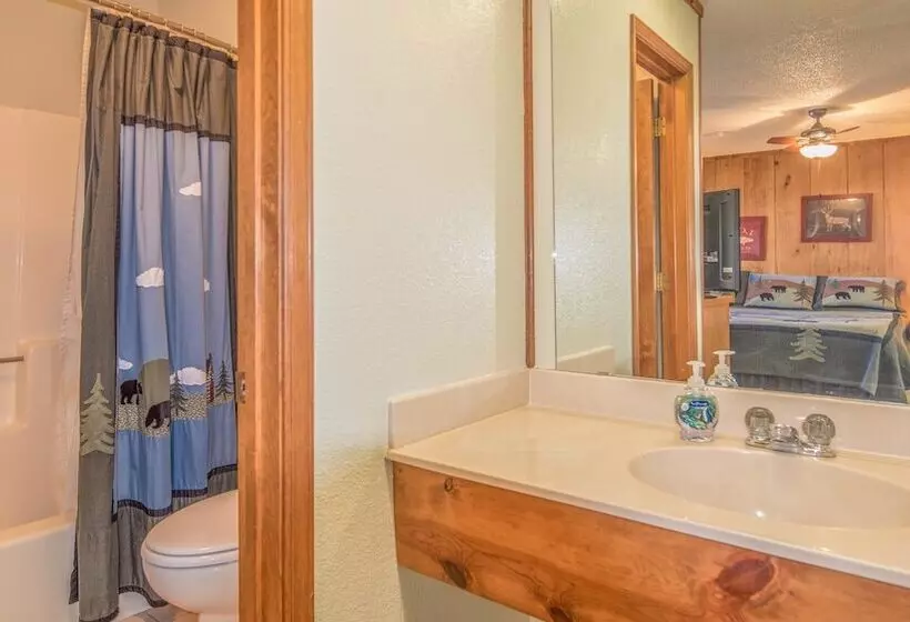 ホテル Shadow Mountain Lodge And Cabins