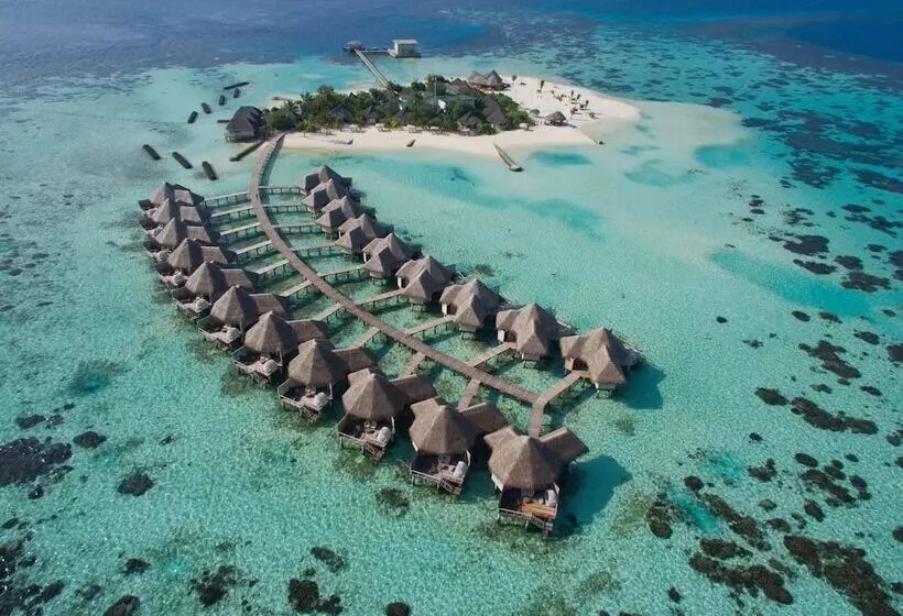 هتل Drift Thelu Veliga Retreat