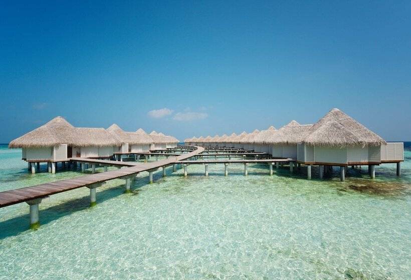 هتل Drift Thelu Veliga Retreat