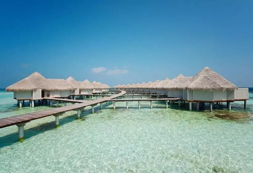 هتل Drift Thelu Veliga Retreat