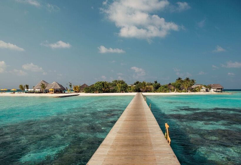 هتل Drift Thelu Veliga Retreat