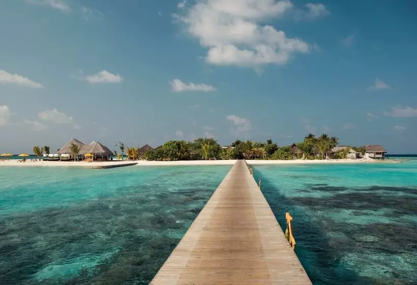 هتل Drift Thelu Veliga Retreat