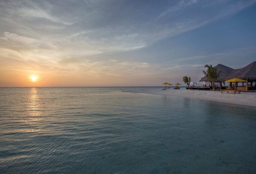 هتل Drift Thelu Veliga Retreat