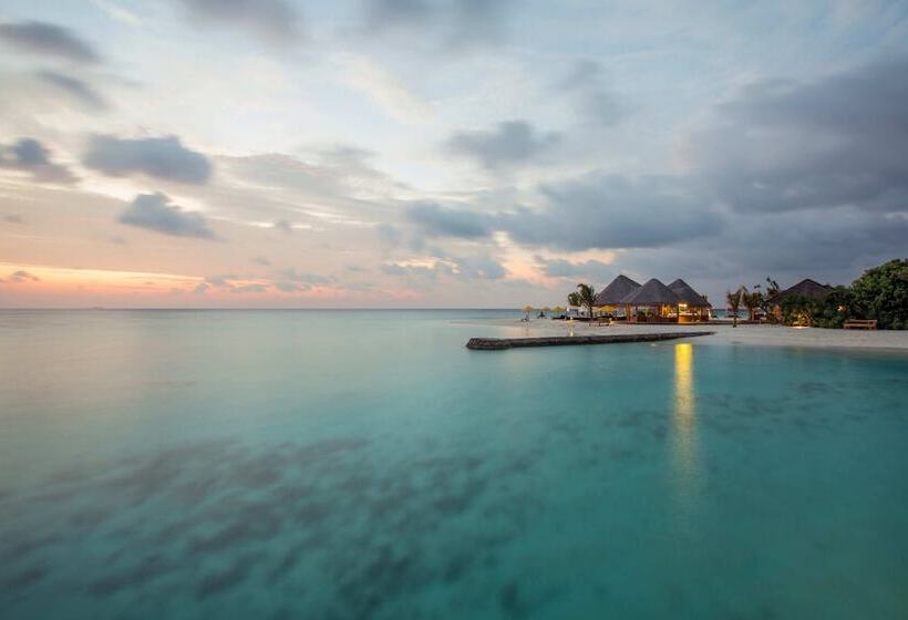 هتل Drift Thelu Veliga Retreat