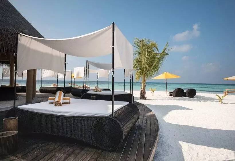 هتل Drift Thelu Veliga Retreat